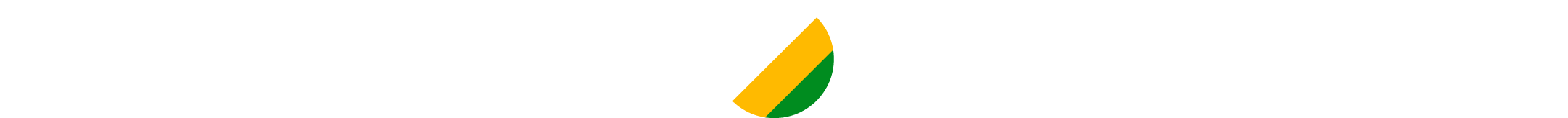 Flavinho 1537, Deputado Federal
