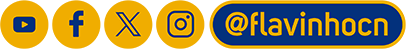 Redes sociais, @flavinhocn
